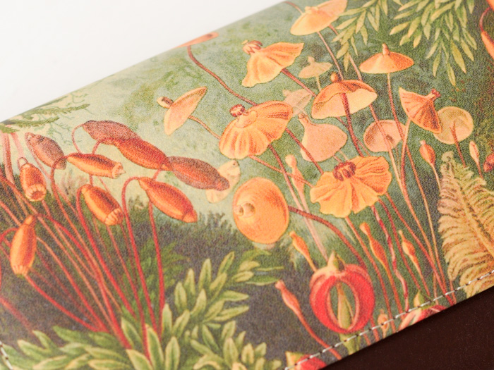 収納たっぷり本革長財布｜苔