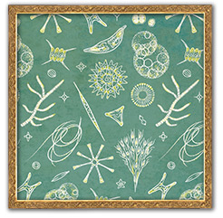 ミクロ柄のアイテム一覧ページへ移動する