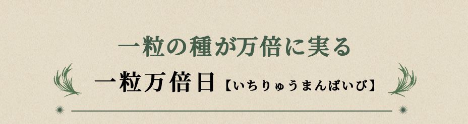 一粒の種が万倍になる
