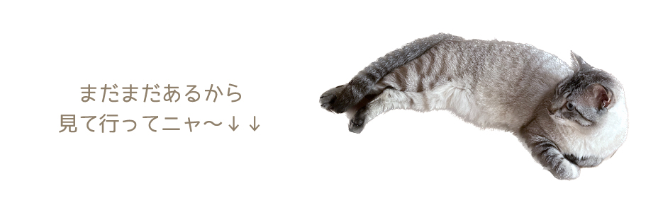yukiemon（ユキエモン）2025こねこ図鑑ブラウス（3L）5670170