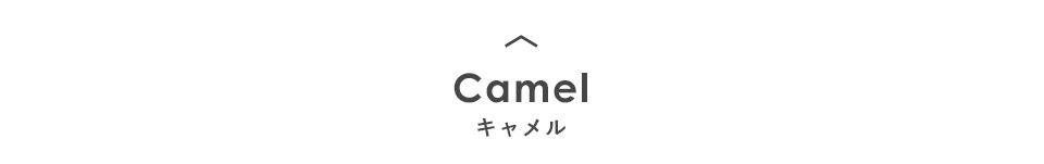 CAMEL キャメル