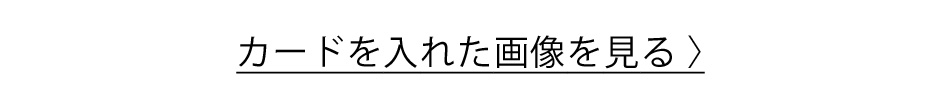 カードを入れた画像を見る