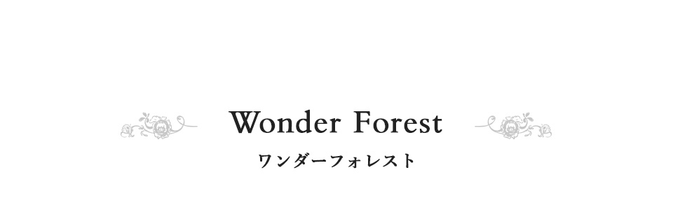 Wonder Forest  ワンダーフォレスト