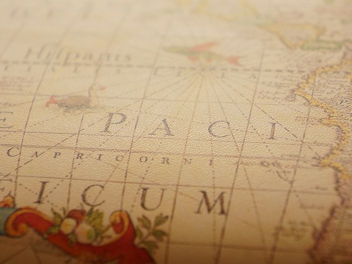 贅沢なヌメ革に施された美しいアート