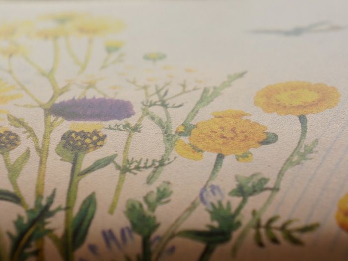 ノアザミ・矢車菊（ヤグルマギク）・金鳳花（キンポウゲ）・カミツレ（カモミール） 菫（スミレ）等